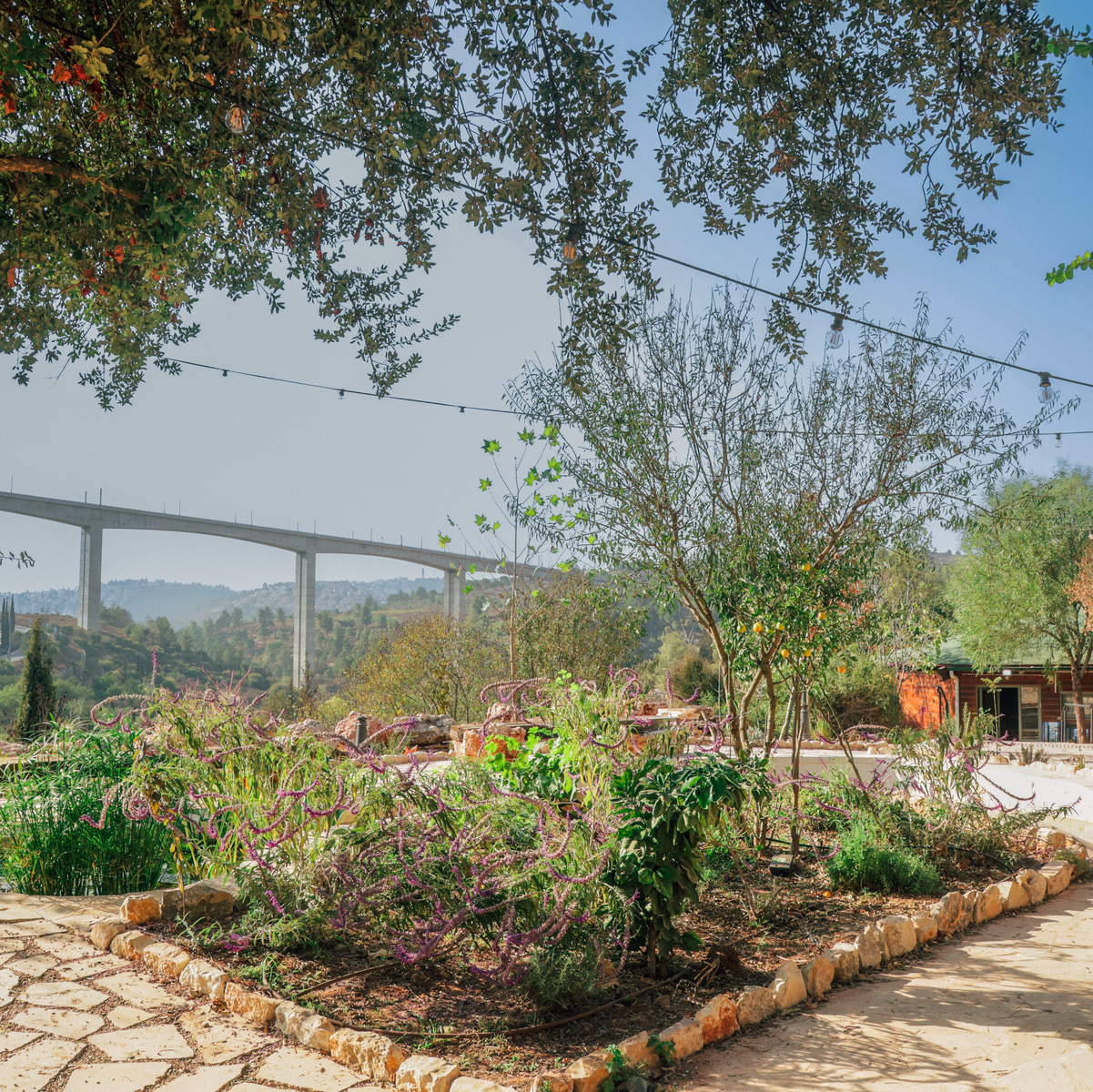 נוף2